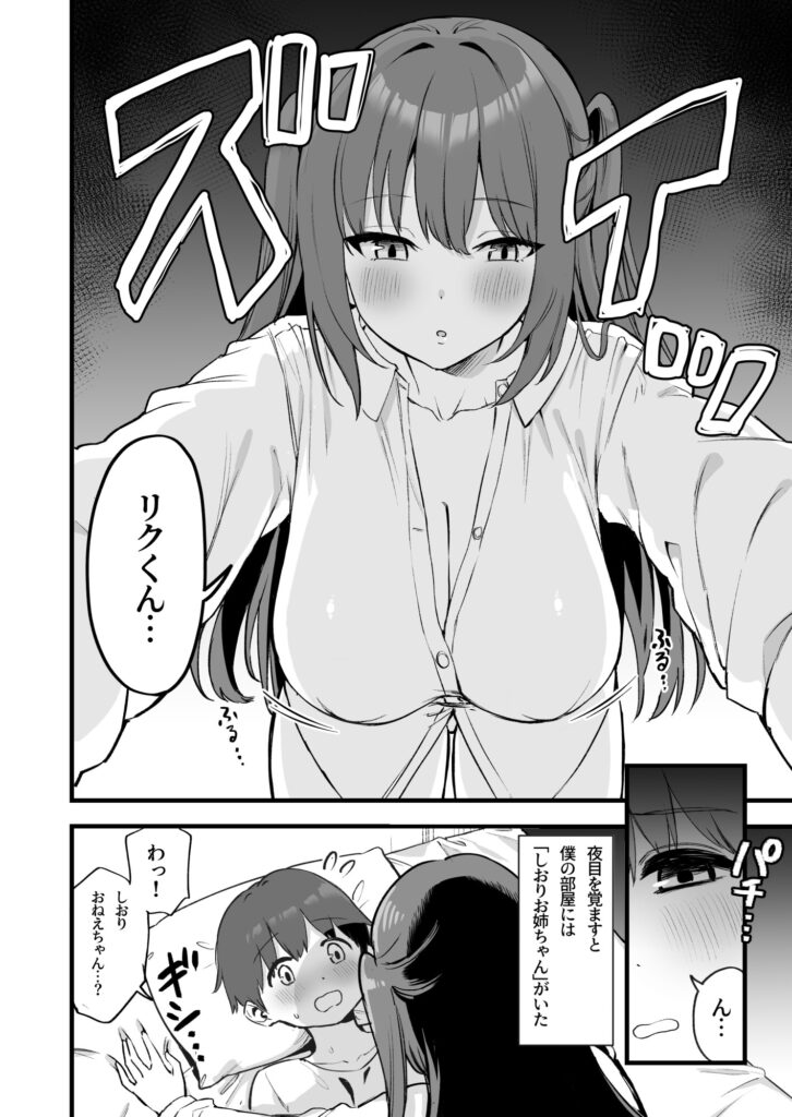 お姉ちゃんはサキュバス!? サンプル画像1