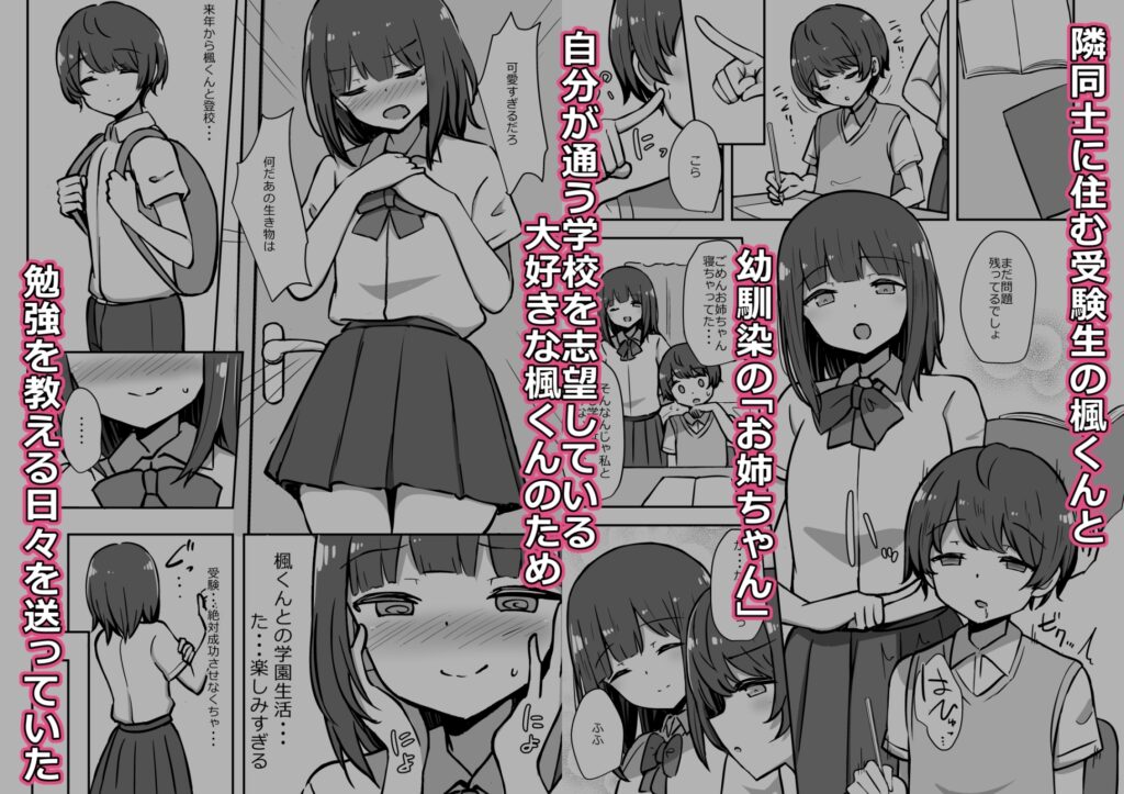 ボクとお姉さんの気持ちいいお勉強 サンプル画像1