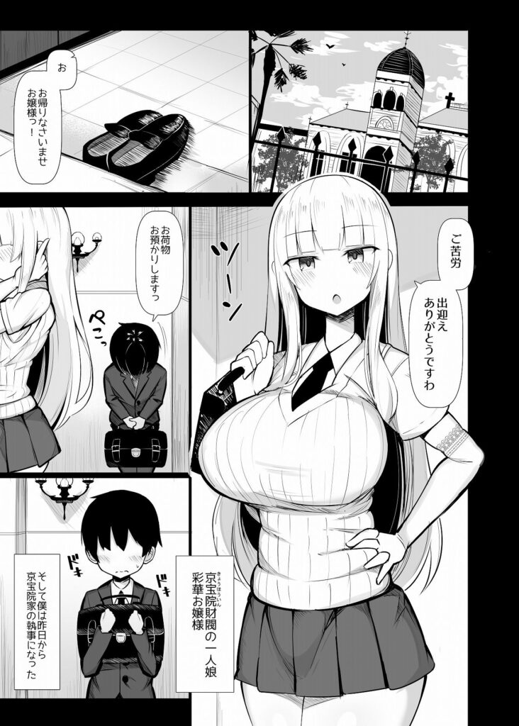 お嬢様に買われたボク サンプル画像1
