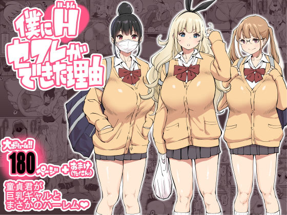 僕にハーレムセフレができた理由 表紙